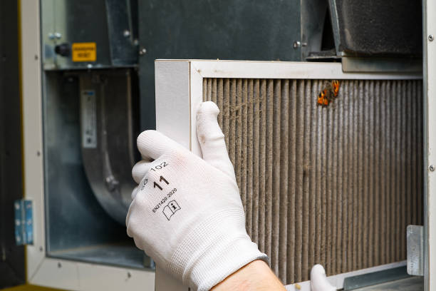 Best Home Air Vent Cleaning  in Winchester, VA