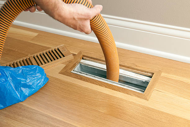 Best Home Air Vent Cleaning  in Winchester, VA