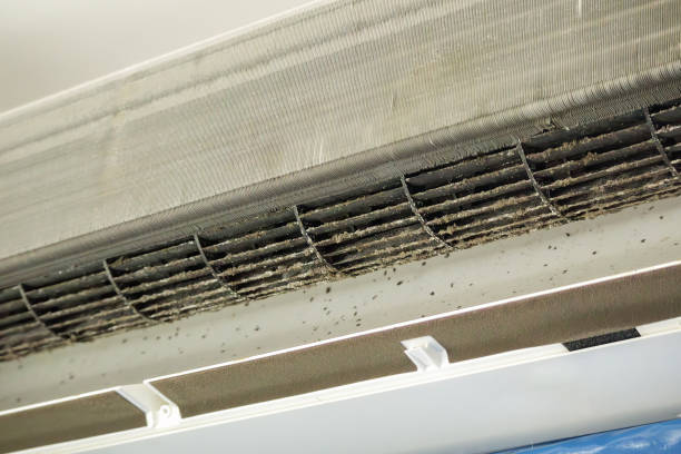 Best Air Duct Cleaning Near Me  in Winchester, VA