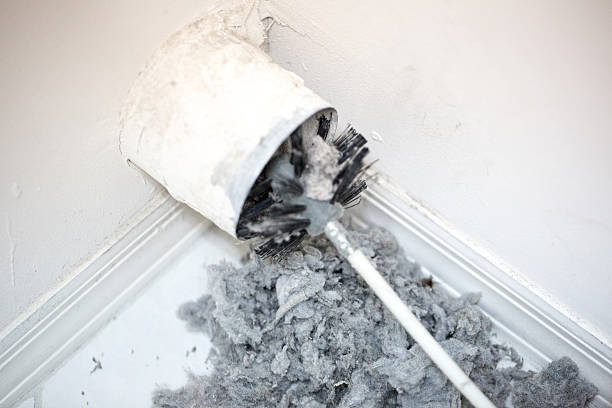 Best Dryer Vent Cleaning Services  in Winchester, VA